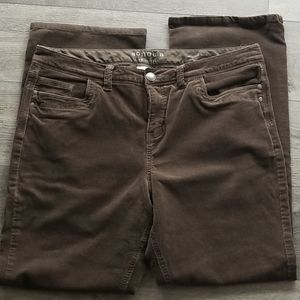 Brown cords, Sonoma, 16